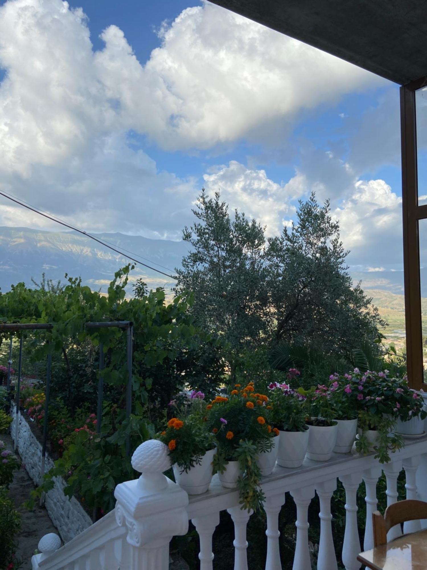 Stonetale Garden Guesthouse Gjirokastra Kültér fotó